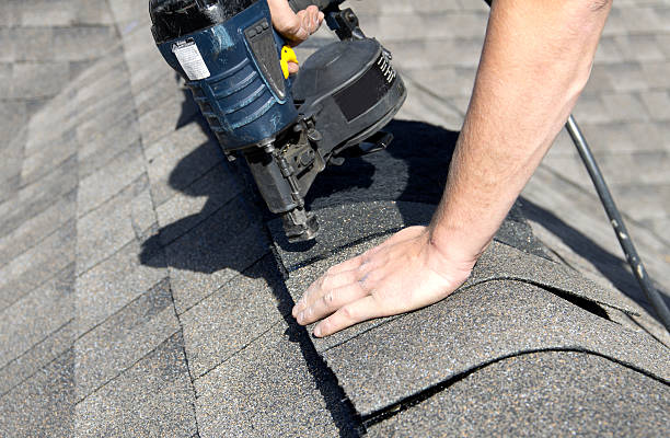 Roof Moss and Algae Removal in Zanesville, OH